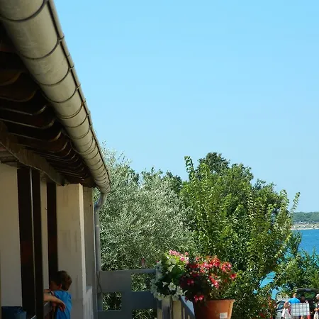 Ajla Apartament *